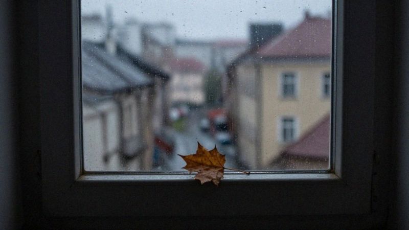 Jakie są przyczyny zaburzeń depresyjnych?