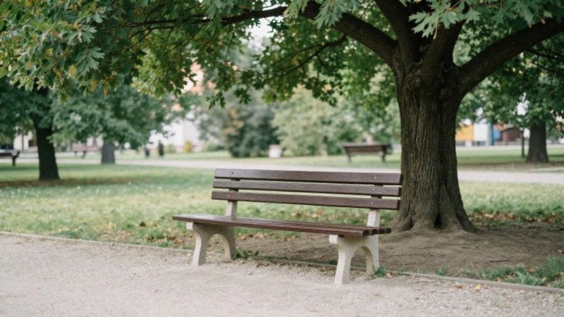 Jak cPTSD wpływa na relacje i zaufanie?