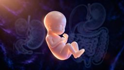 14 tydzień ciąży – jak wygląda dziecko i co się dzieje?