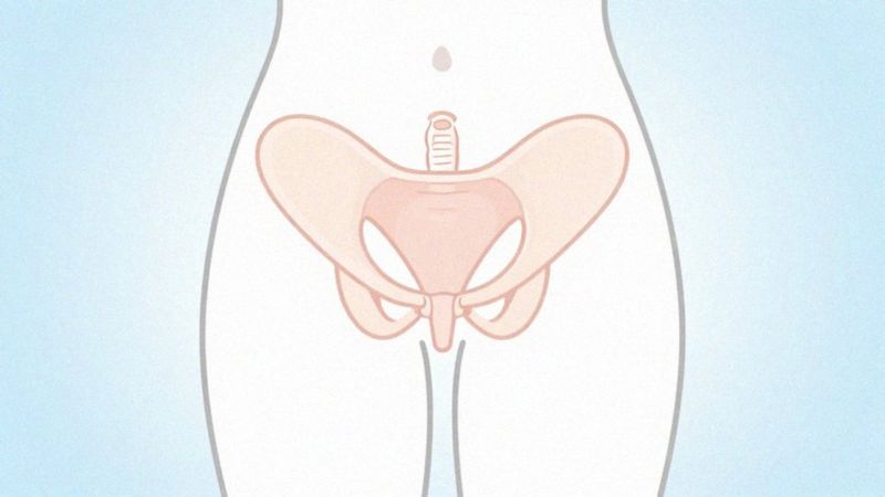 Czy punkt G i żeńska prostata odpowiadają za ejakulację?