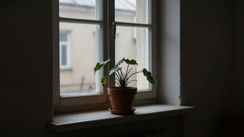 Które objawy wskazują na narcyzm wrażliwy?
