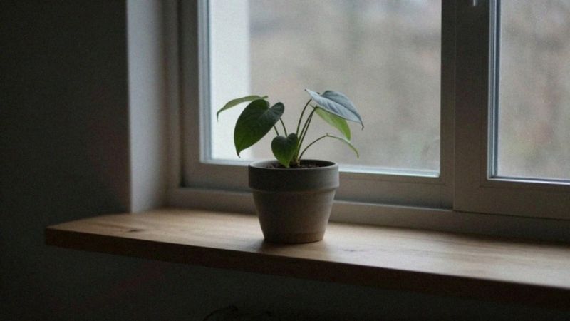 Dlaczego tracimy energię i zainteresowanie?
