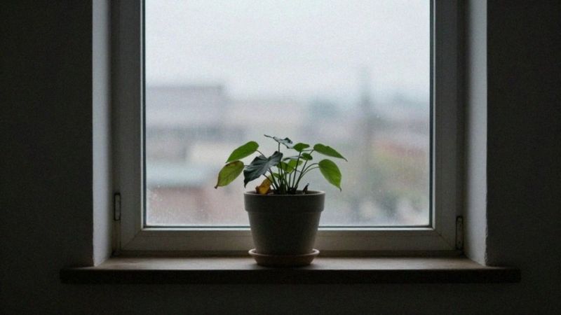 Skąd biorą się narcystyczne cechy?