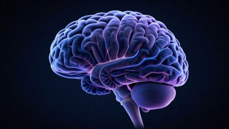 Jak działa Brainspotting neurobiologicznie?
