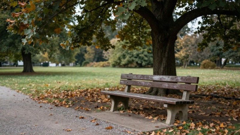 Jakie są przyczyny i czynniki ryzyka PTSD?