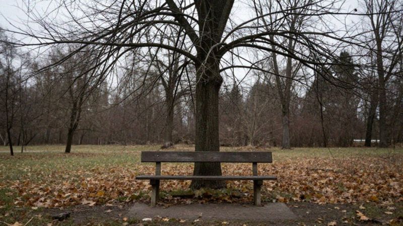 Jakie przyczyny wywołują kryzys emocjonalny?