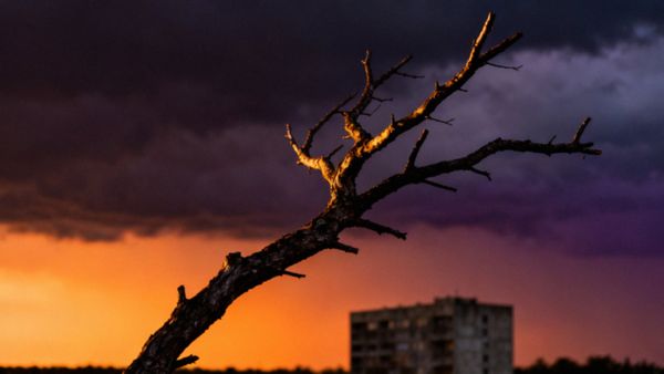 Agresja a agresywność — kluczowe różnice i przyczyny zachowań