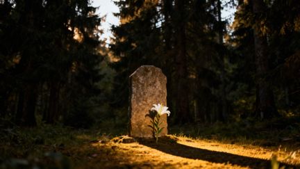 Co się stało z narcyzem? Historia zaginionego youtubera i jej konsekwencje