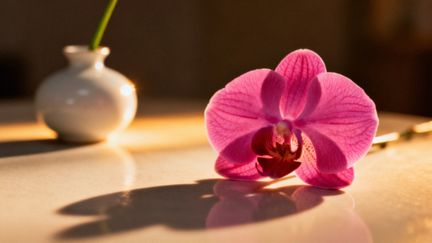 Czy po okresie są dni płodne? Kluczowe informacje o owulacji