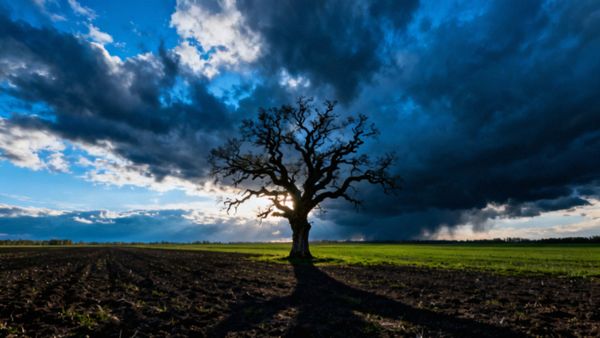 Definicja agresji w psychologii — co to oznacza i jakie są jej rodzaje?