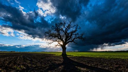 Definicja agresji w psychologii — co to oznacza i jakie są jej rodzaje?