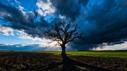 Definicja agresji w psychologii — co to oznacza i jakie są jej rodzaje?
