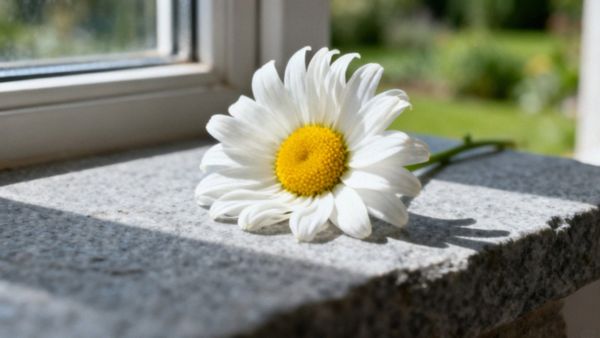 Ile dni po owulacji jest okres? Obliczanie cyklu miesiączkowego
