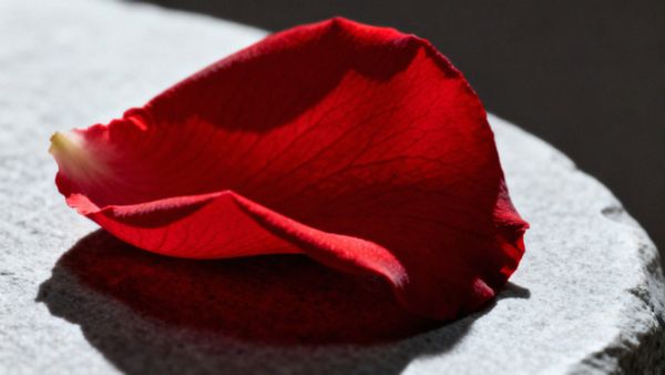 Ile po łyżeczkowaniu dostaje się okres? Co warto wiedzieć!