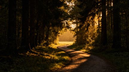 Jak przezwyciężyć lęk przed ludźmi? Skuteczne metody i terapie