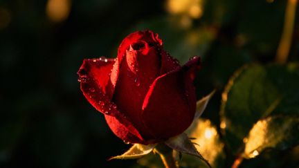 Jak przeżywacie orgazm? Rodzaje, objawy i psychologia doznań