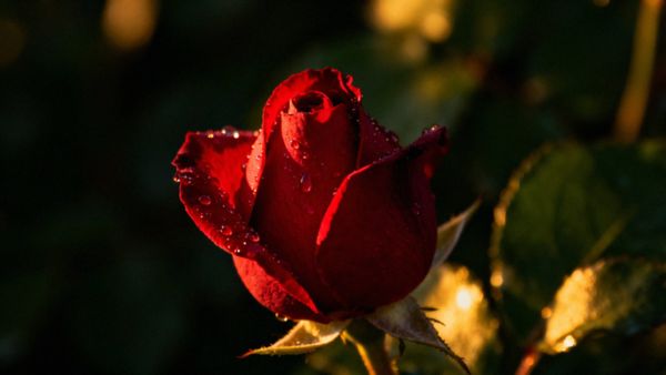 Jak przeżywacie orgazm? Rodzaje, objawy i psychologia doznań