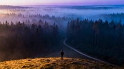 Rodzaje lęków — jak je rozpoznać i zrozumieć?