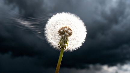 Neurotyczność — co to jest i jak wpływa na życie emocjonalne?