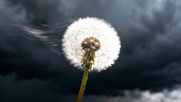 Neurotyczność — co to jest i jak wpływa na życie emocjonalne?