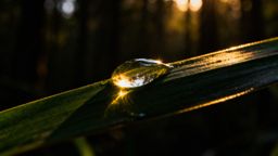 Preejakulat — jak wygląda i jakie ma funkcje?