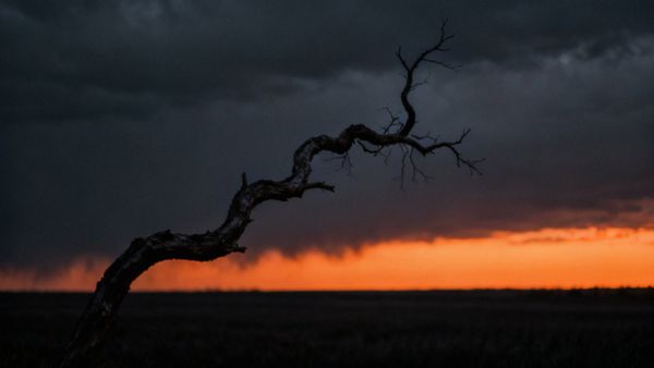 Skąd się bierze lęk? Przyczyny i mechanizmy emocjonalne
