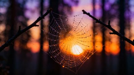 Uczucie silnego lęku — objawy, przyczyny i skuteczne radzenie sobie