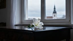 Żałoba — co to jest i jak przebiega ten proces?